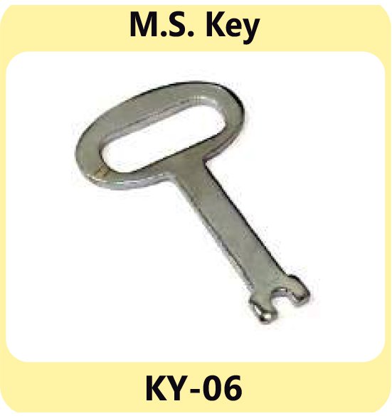 MS Key